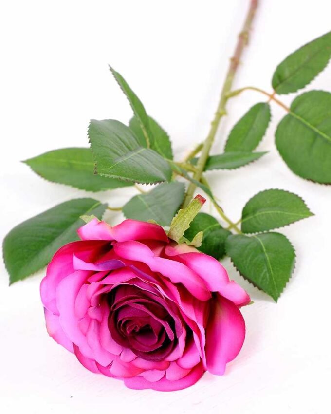 16*77cm Single Rose GS-1430027-Z1