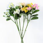 Branch of bride flower GS-1450016