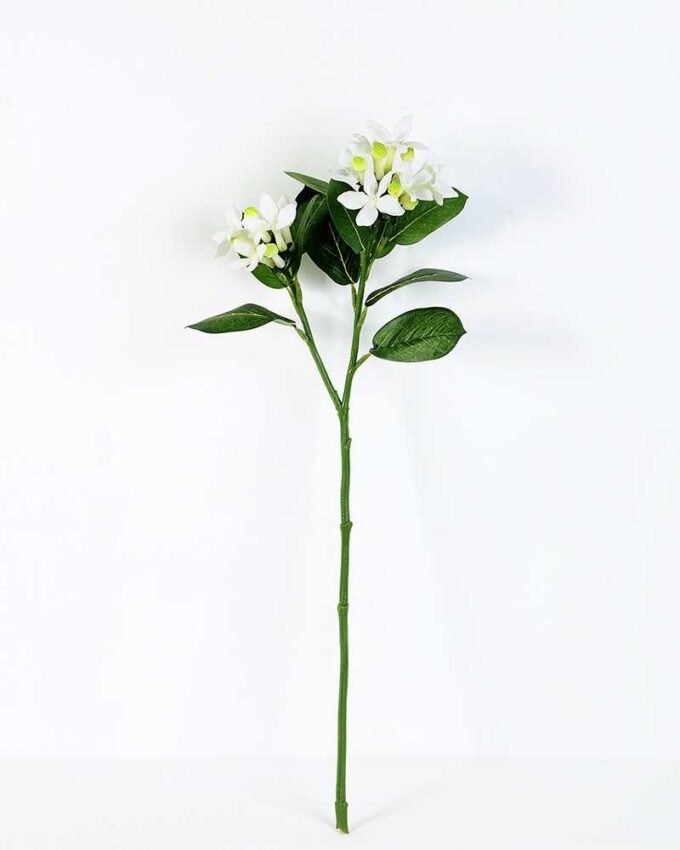 Branch of bride flower GS-1450016