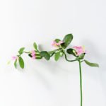 Vine of bride flower GS-1450017