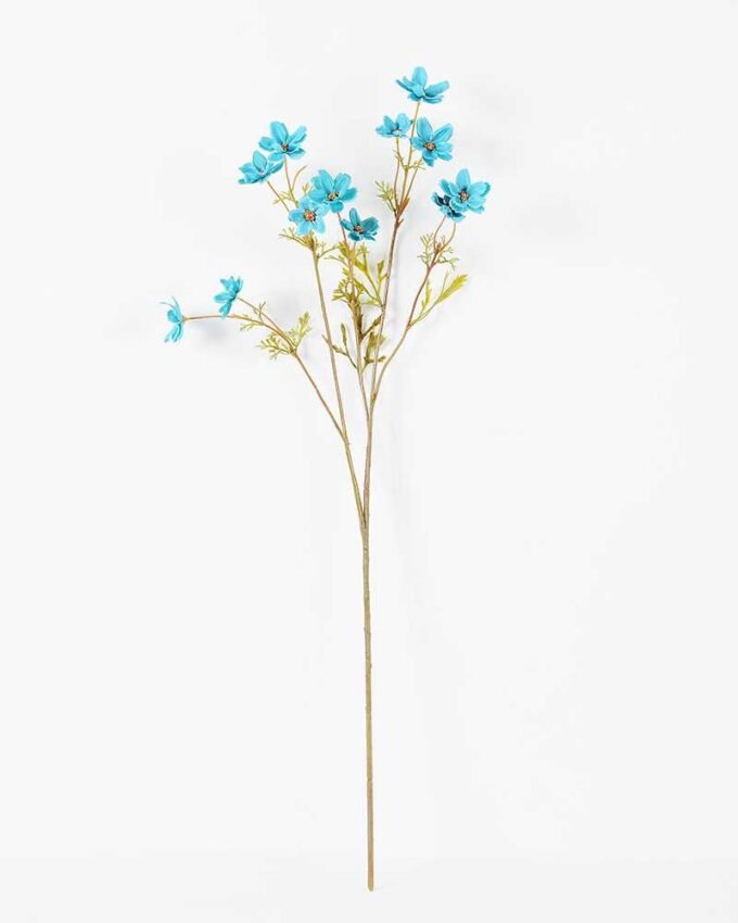 Single cosomos GS-1450019