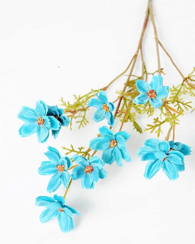 Single cosomos GS-1450019