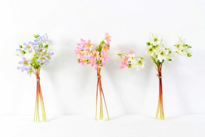 Cosomos*6 GS-1450021 3 Cosomos*6 GS-1450021