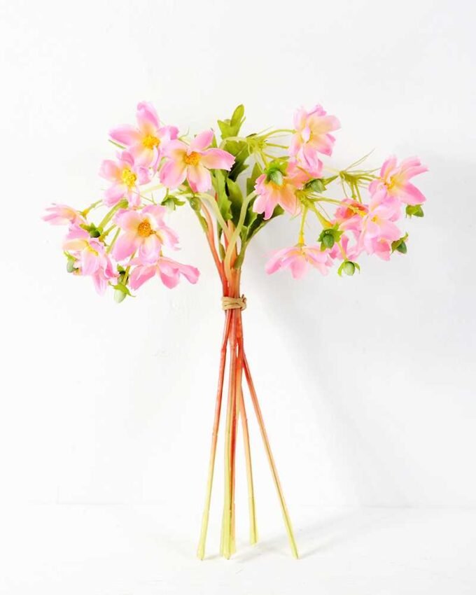 Cosomos*6 GS-1450021 4 Cosomos*6 GS-1450021