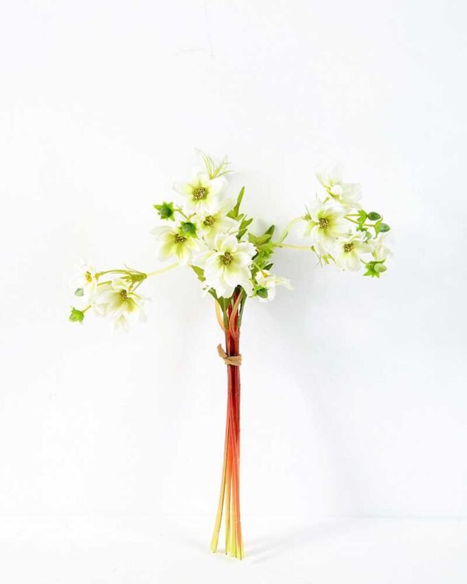 Cosomos*6 GS-1450021 5 Cosomos*6 GS-1450021