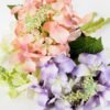 Peral Hydrangea*3 GS-1450030