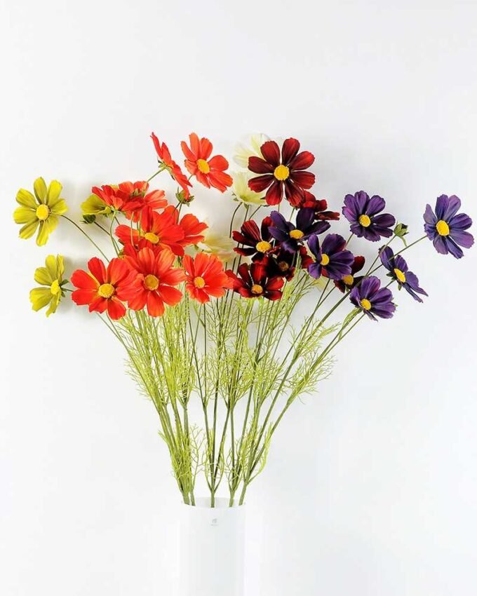 Autumn Cosmos GS-1450034 1 Autumn Cosmos GS-1450034