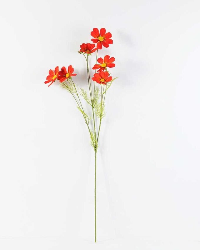 Autumn Cosmos GS-1450034 6 Autumn Cosmos GS-1450034