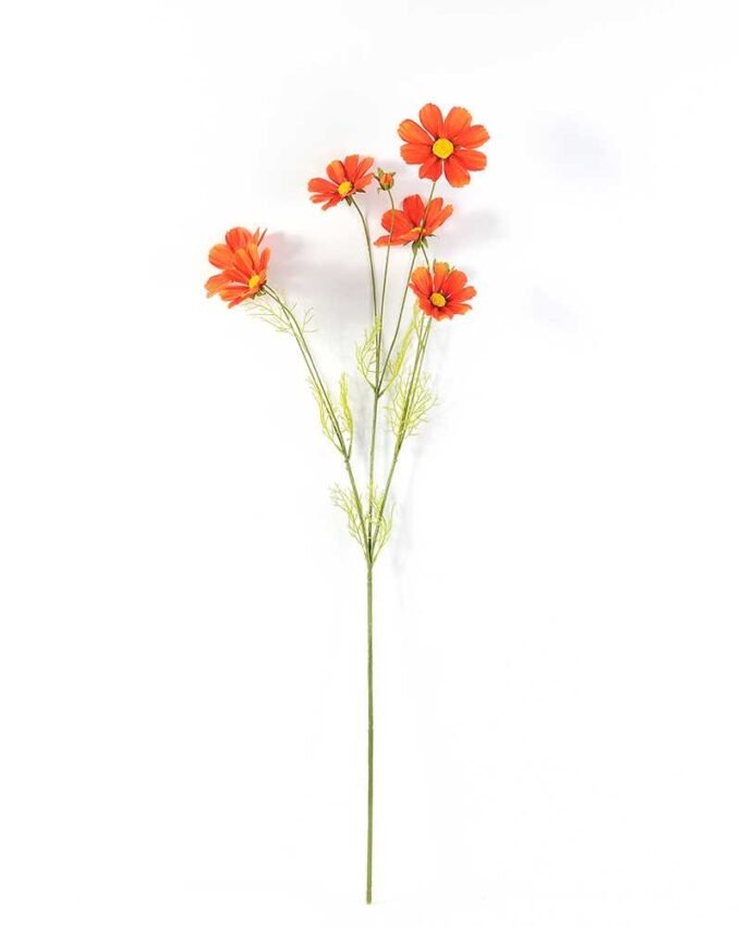 Autumn Cosmos GS-1450034 7 Autumn Cosmos GS-1450034