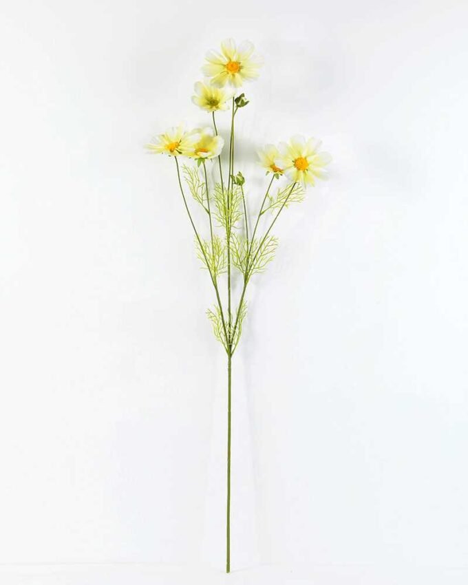 Autumn Cosmos GS-1450034 8 Autumn Cosmos GS-1450034