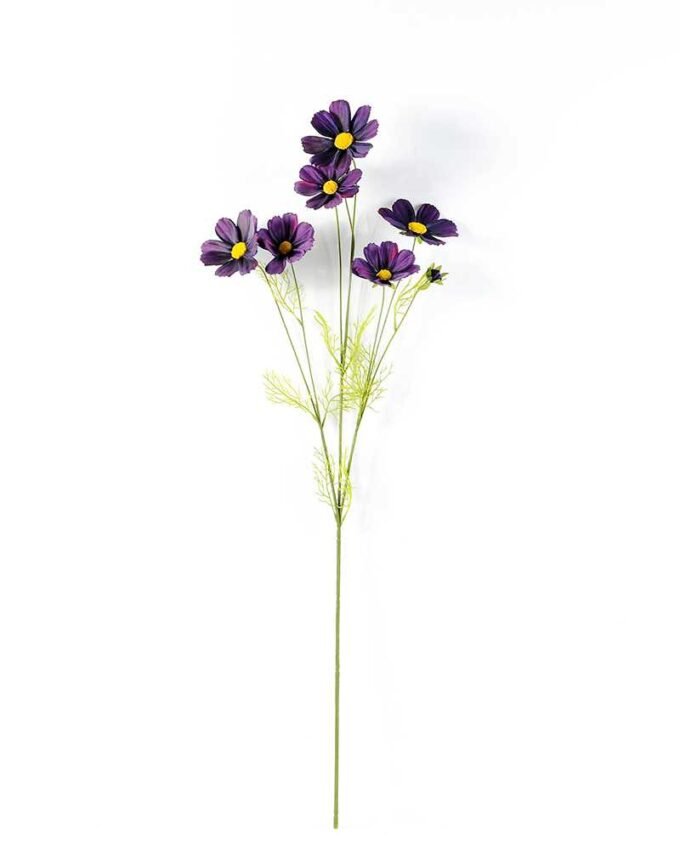 Autumn Cosmos GS-1450034 9 Autumn Cosmos GS-1450034