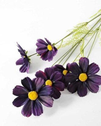 Autumn Cosmos GS-1450034