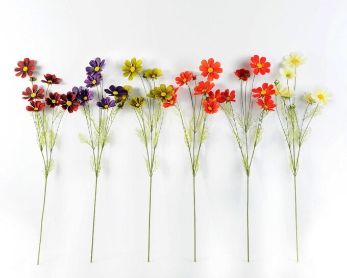 Autumn Cosmos GS-1450034 3 Autumn Cosmos GS-1450034