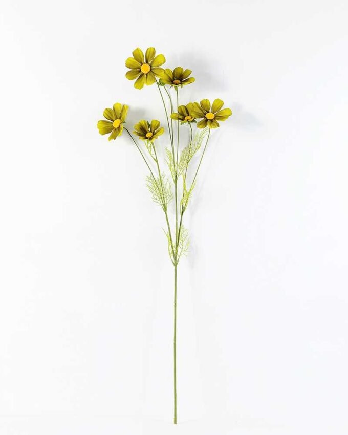 Autumn Cosmos GS-1450034 5 Autumn Cosmos GS-1450034