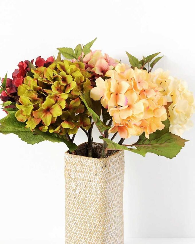 Single hydrangea GS-1450035