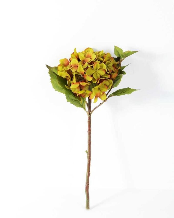 Single hydrangea GS-1450035