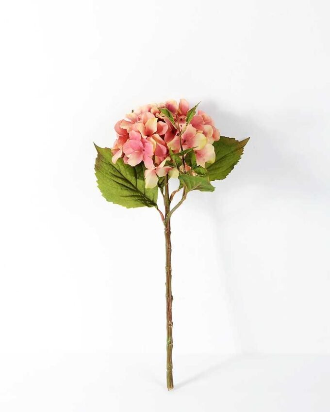 Single hydrangea GS-1450035
