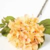 Single hydrangea GS-1450035