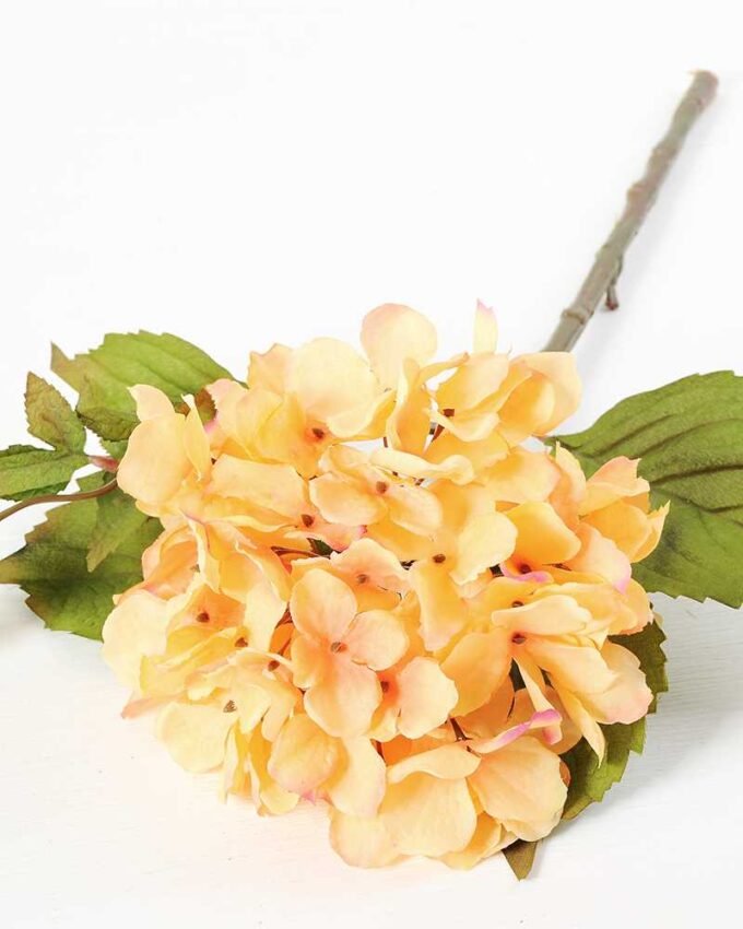 Single hydrangea GS-1450035