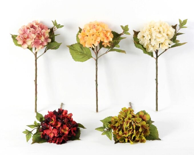 Single hydrangea GS-1450035