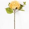 Single hydrangea GS-1450035