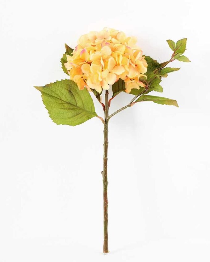 Single hydrangea GS-1450035