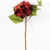 Single hydrangea GS-1450035