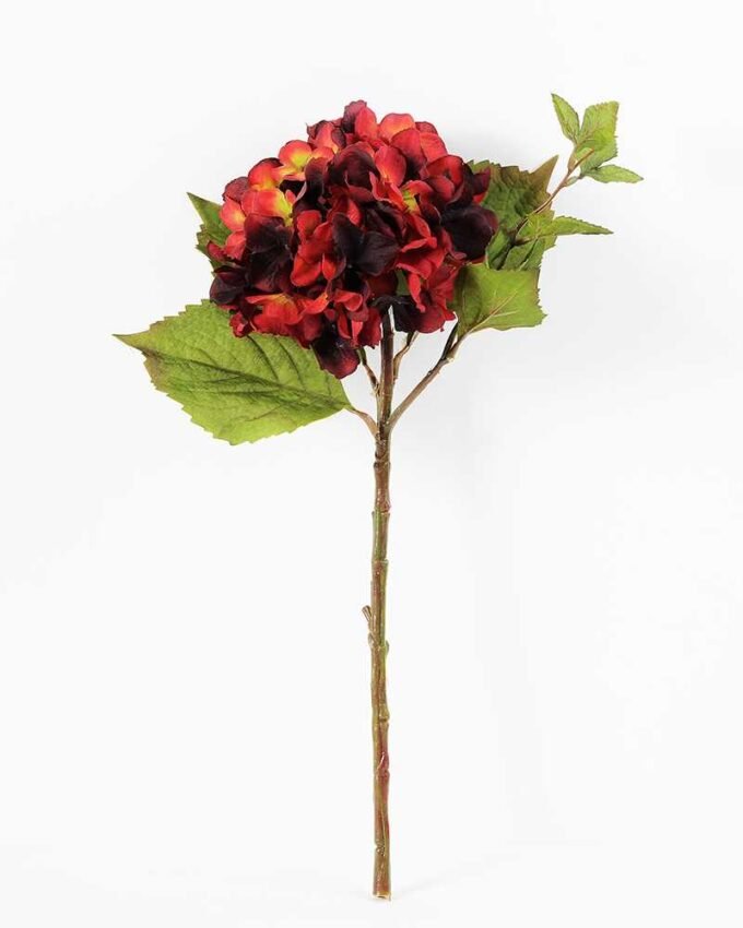 Single hydrangea GS-1450035