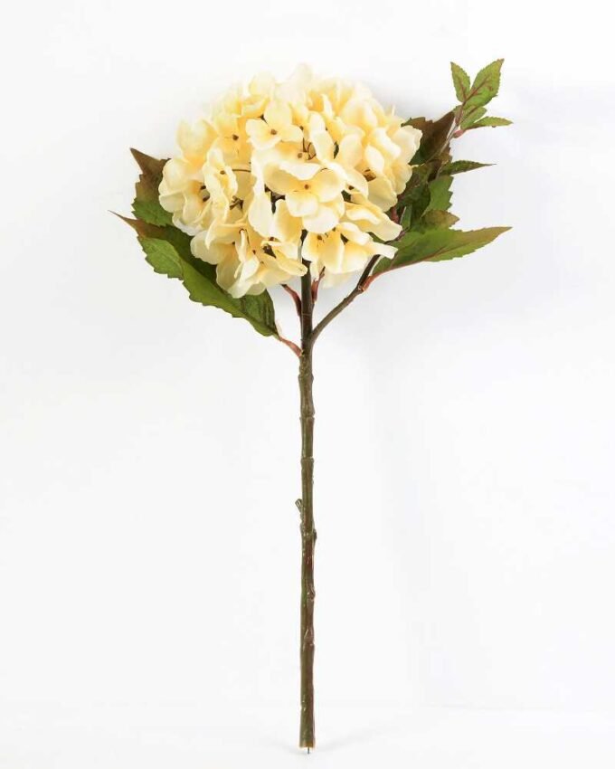 Single hydrangea GS-1450035