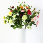 71CM France Rose GS-1450057