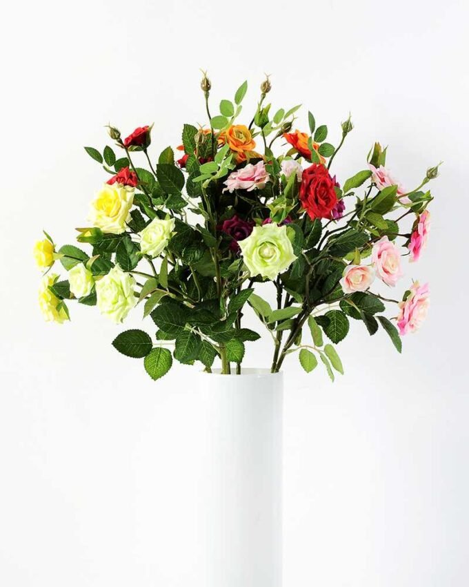 71CM France Rose GS-1450057