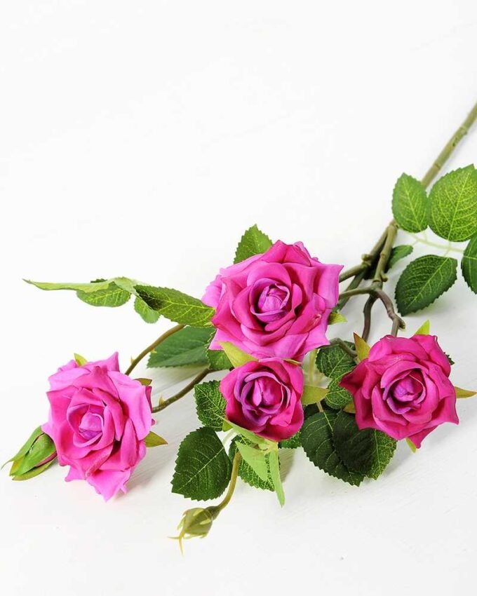 71CM France Rose GS-1450057