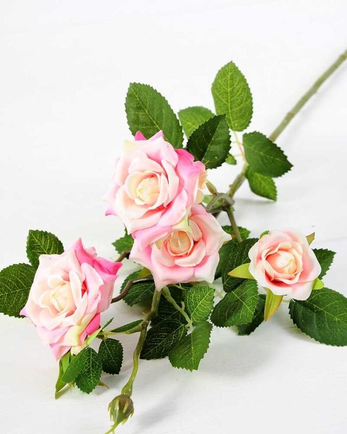 71CM France Rose GS-1450057