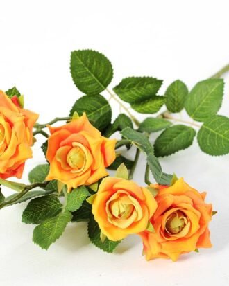 71CM France Rose GS-1450057