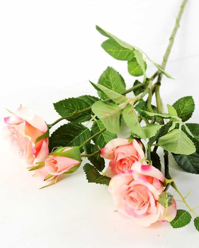 71CM France Rose GS-1450057