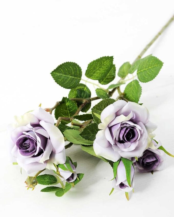 71CM France Rose GS-1450057