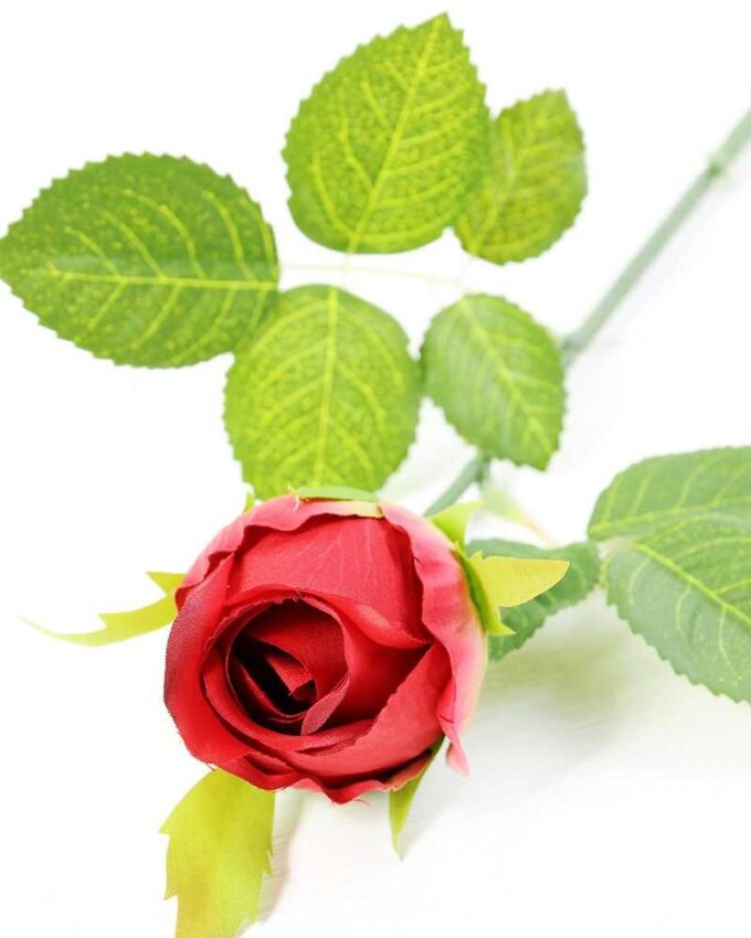 48CM Single Rose GS-1450058