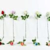 48CM Single Rose GS-1450058