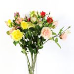 60CM Hibiscus Rose GS-1450061