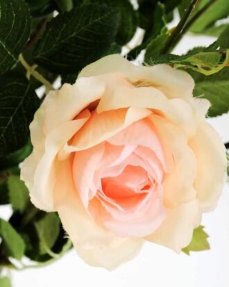 60CM Hibiscus Rose GS-1450061