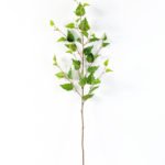 93cm Birch Leaf GS-1450067