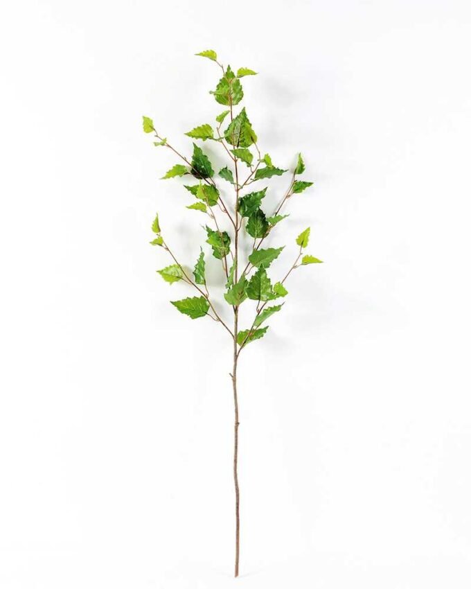 93cm Birch Leaf GS-1450067 1 93cm Birch Leaf GS-1450067