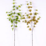 Multiple leaf GS-1450068