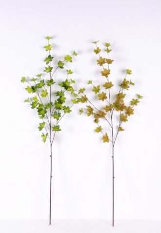 Multiple leaf GS-1450068