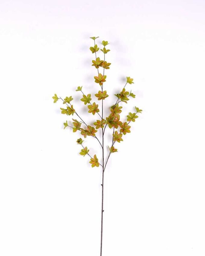 Multiple leaf GS-1450068 3 Multiple leaf GS-1450068