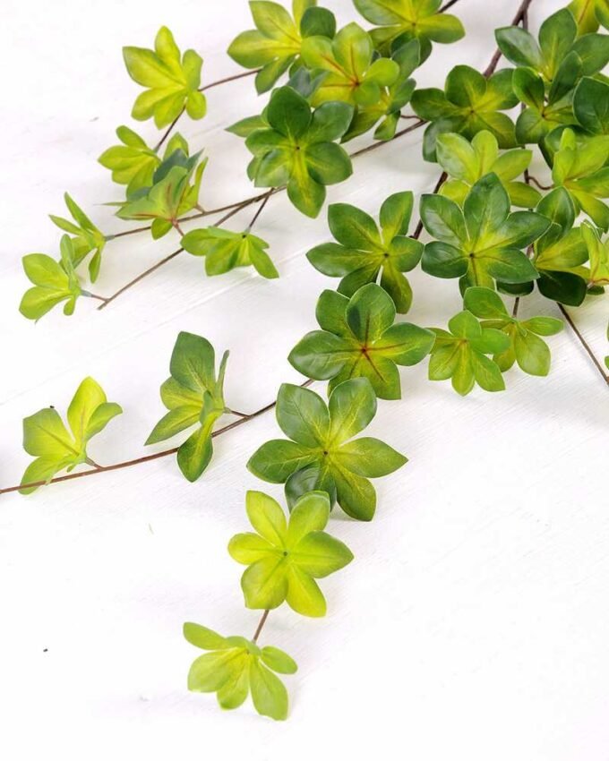 Multiple leaf GS-1450068 4 Multiple leaf GS-1450068