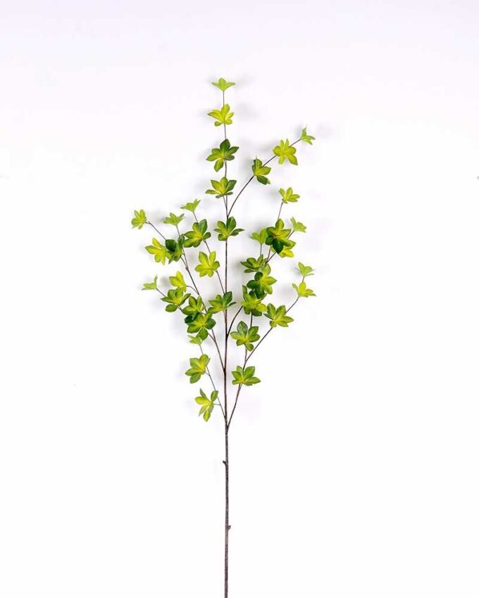 Multiple leaf GS-1450068 5 Multiple leaf GS-1450068