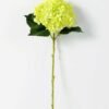 hydrangea  H:53CM GS-1450081