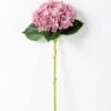 hydrangea  H:53CM GS-1450081
