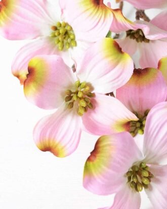 26*72CM Sakura Spray GS-1450084